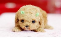 ​空间说说自己生日快乐(很好的朋友过生日发说说)