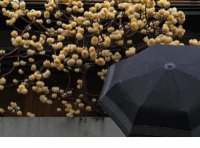 ​美好生活感悟经典短句 说说时间感悟生活短句