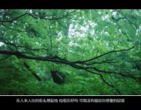 ​说说心情短语励志