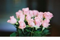 ​qq空间说说2023抖音最火(40条)