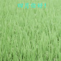 ​压力失眠的说说图片