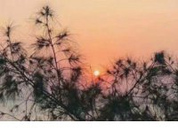 ​描写毕业季的词语 小学生年级毕业季说说