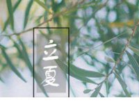 ​与人善言暖于布帛伤人以言的意思 说给对象暖人的情话