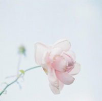 ​长篇说说大全励志（社会励志经典男人霸道话）