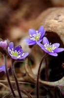 ​晚安励志说说致自己（晚安说说配图致自己一句话）