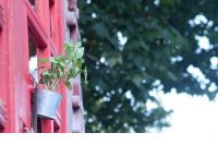 ​微信朋友圈说说的好句子