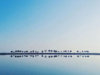 ​女生说说超拽霸气配图