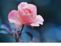 ​晚安说说正能量致自己 早安一句话正能量