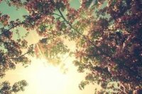 ​适合对男朋友说的话 给男朋友的一句唯美的情话[40句]