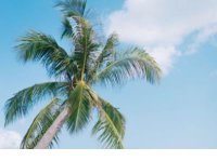 ​沉默寡言的说说85句（沉默的说说致自己短句）