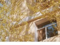 ​2023说说心情短语[24句] (90)