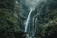 ​pp网名女生 我贱关你毛事