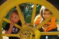 ​优雅的女孩名字属木 起名字网高雅点的名字