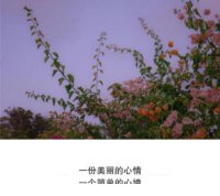 ​激励生活累心累的句子