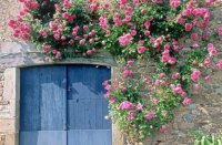 ​关于相遇的唯美句子 尘埃落定优美句子段落