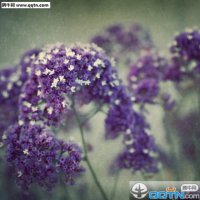 ​毕业留言唯美句子老师