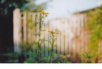 ​关于夫妻旅行的唯美句子 旅行的句子唯美清纯