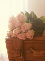 ​关于以后的路唯美句子（描写马路的优美句子）