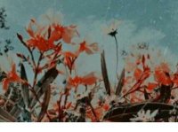 ​唯美意境早安语录经典语句