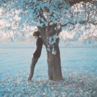 ​风情万种的唯美句子(形容美女的古风句子)