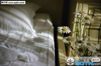 ​一些很唯美的句子(愿逝者安息的唯美句子)