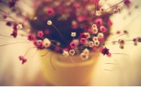 ​关于美好的句子推荐 愿一切美好的唯美句子