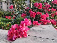 ​王者荣耀基友网名 烟岭寂静