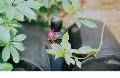 文案暗恋心酸短句