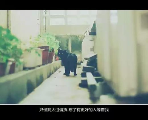 經典唯美意境话感情情感话语