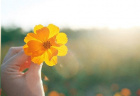 ​暖心励志网名qq个性网名2023最新的 杜蒙蒙|金明