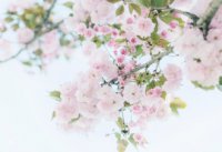 ​超好听的情侣网名六字