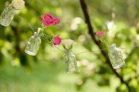 ​潇洒哥网名_轩辕无氏