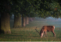 ​听起来就很有故事的网名
