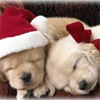 ​心酸歌词经典句子 暗恋一个人的苦涩