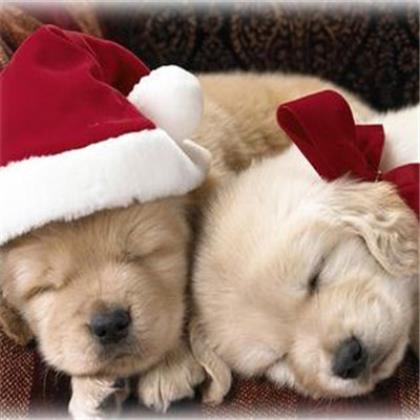 暗恋一个人的苦涩