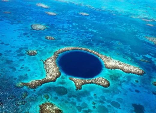 从网络到现实的兄弟感情