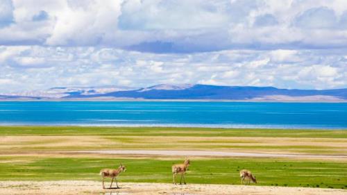 2023年情感扎心语录