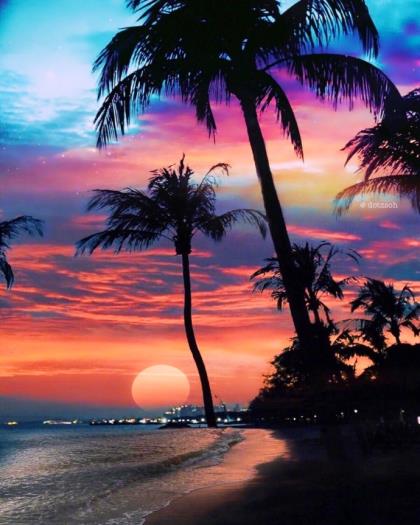 情感语录长篇文章