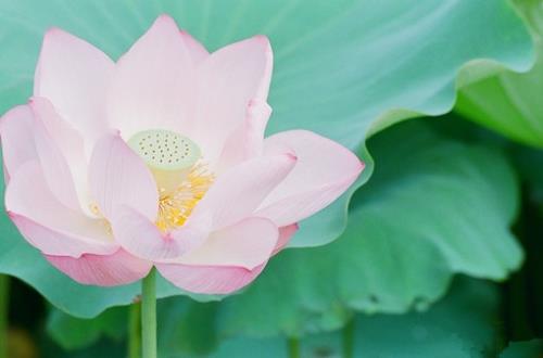 情感语录长篇文章