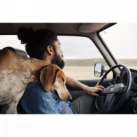 ​qq情感唯美短语