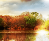 ​森系小清新女生网名、纯爱物语