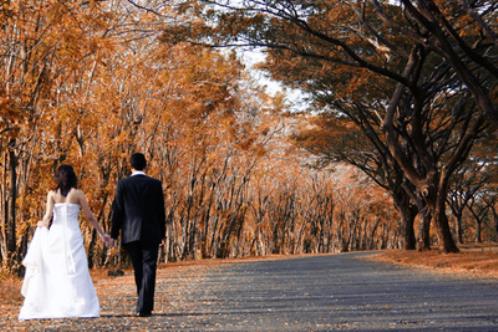 抒写心情的句子10字内