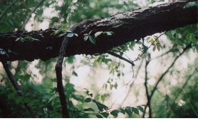 大学生正能量的句子