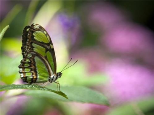 关于心情难过的句子 暗示心情不好的句子