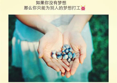 励志句子经典语句 哲理人生句子心情短语[32条]