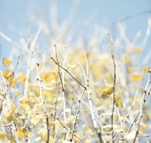 想念孩子的心情语录