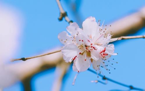 心情低落的句子短句 此时此刻心情无法表达(48句)