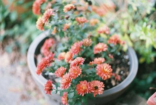 心情低落的句子短句 此时此刻心情无法表达(48句)