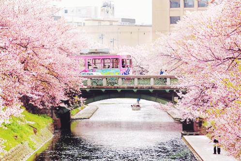 暗示自己被冷落的句子(被别人冤枉的心情句子)