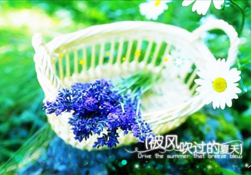 一句话简短心情语录 晚安语录温馨简短